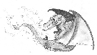 firelizard